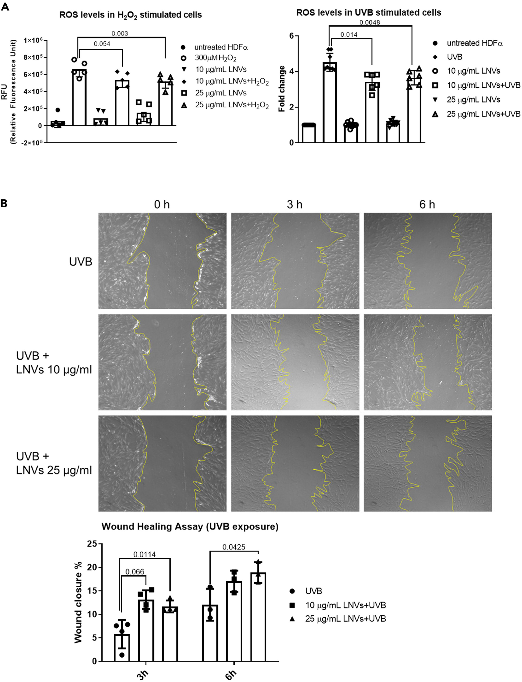 Lemon-derived nanovesicles reduce oxidative stress and promote wound healing in vitro.